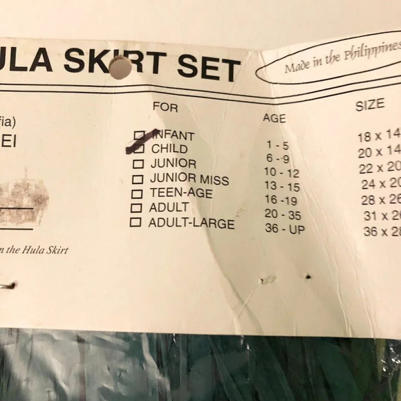 Hawaiin Hula Girl Costume With Raffia Skirt And Coconut Top Child Size Halloween - Picture 7 of 16